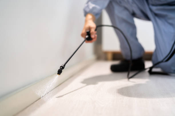 Licensed Termite Control service in Salisbury, MD - Nex Pest Control