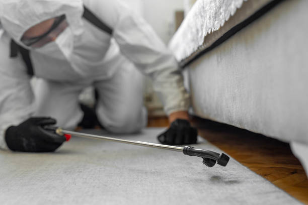 Professional Termite Control technician working in Salisbury, MD