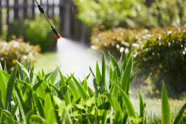 24/7 Emergency Termite Control experts in Salisbury, MD