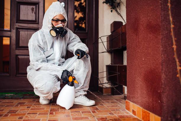 Reliable Termite Control contractor in Salisbury, MD by Nex Pest Control