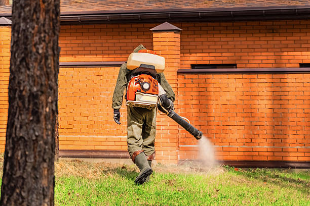 Top rated local Termite Control specialists in Salisbury, MD